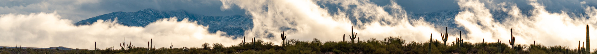 Random Banner Image